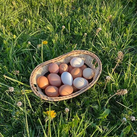 Casa de Campo Gazdov Dvor *