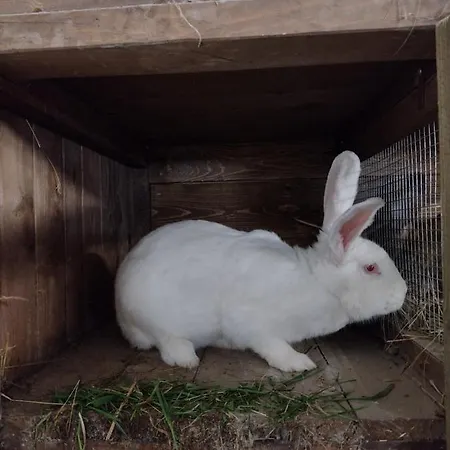 Gazdov dvor * Vavrisovo